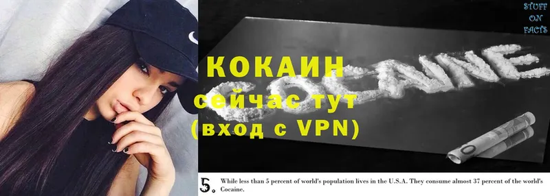 закладки  Железногорск  Cocaine 98% 